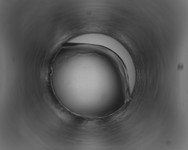 X0000090900072200708270953