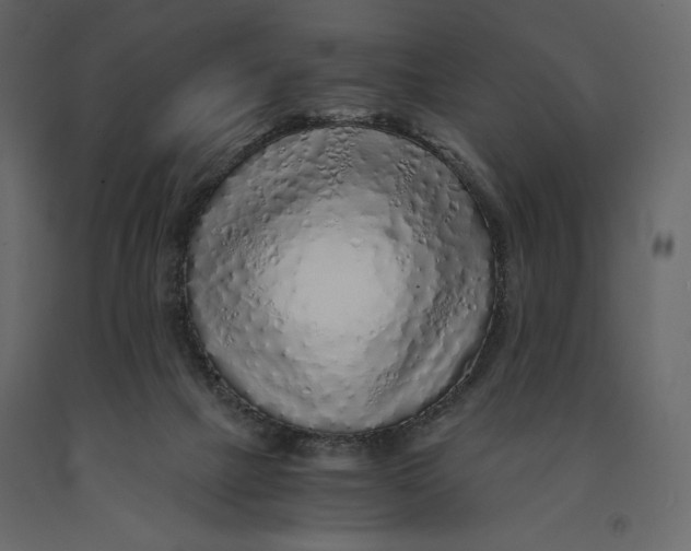 X0000090900073200708270953