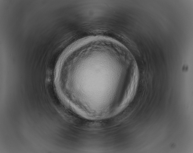 X0000090900075200708270953