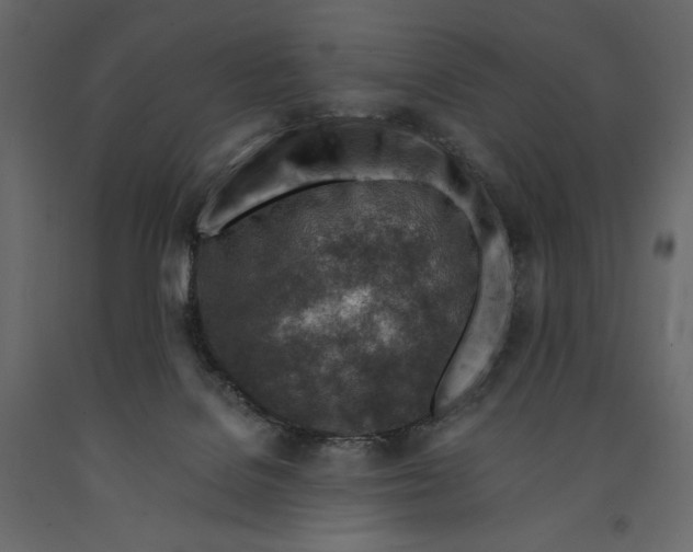 X0000090900076200708270953