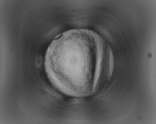 X0000090900077200708270953