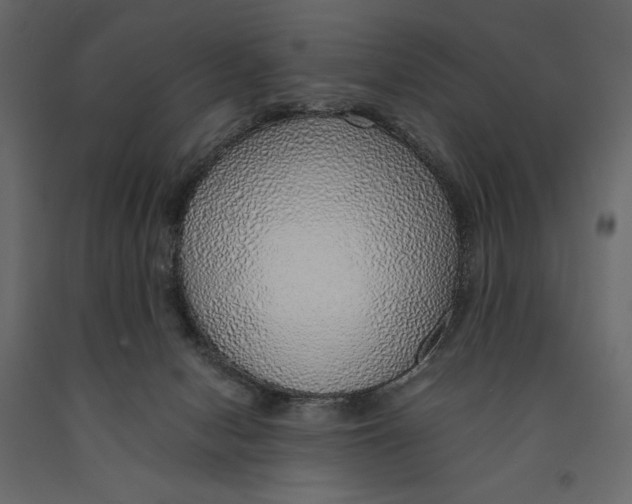 X0000090900078200708270953