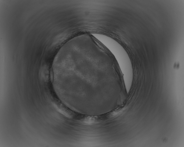 X0000090900080200708270953