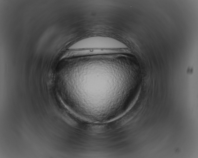 X0000090900081200708270953