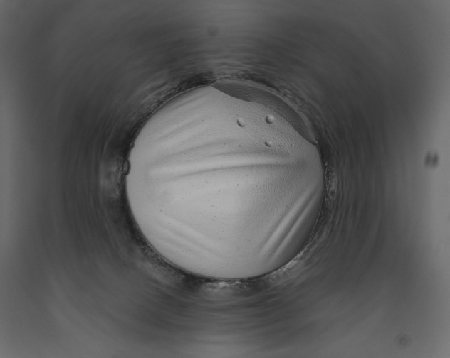 X0000090900082200708270953