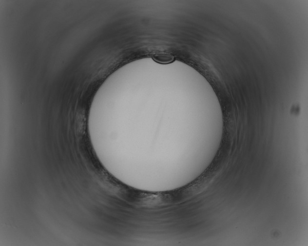 X0000090900083200708270953