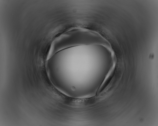 X0000090900084200708270953
