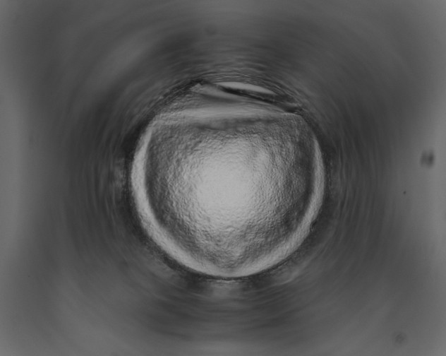 X0000090900085200708270953