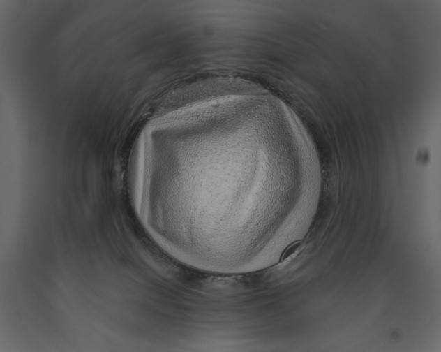 X0000090900086200708270953
