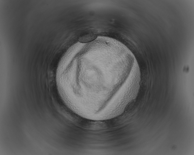 X0000090900087200708270953
