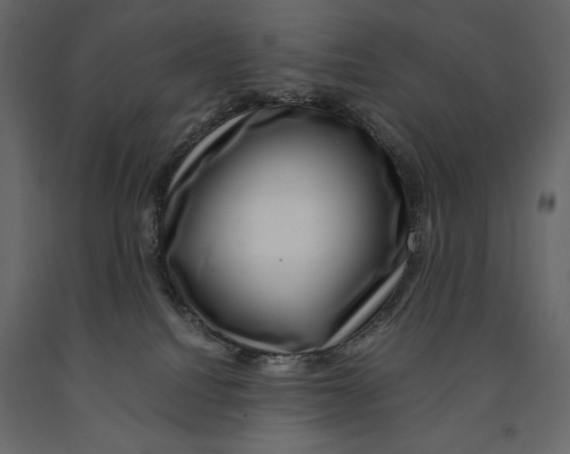 X0000090900088200708270953