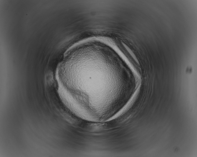 X0000090900089200708270953