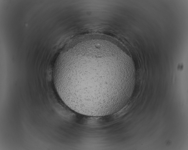 X0000090900090200708270953