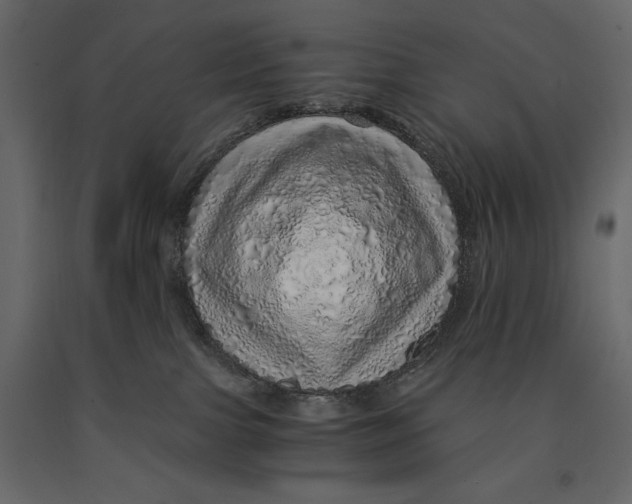 X0000090900091200708270953