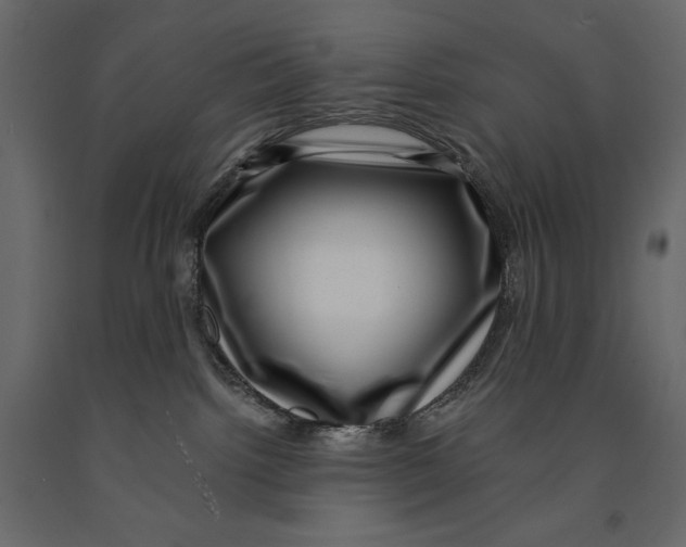 X0000090900092200708270953