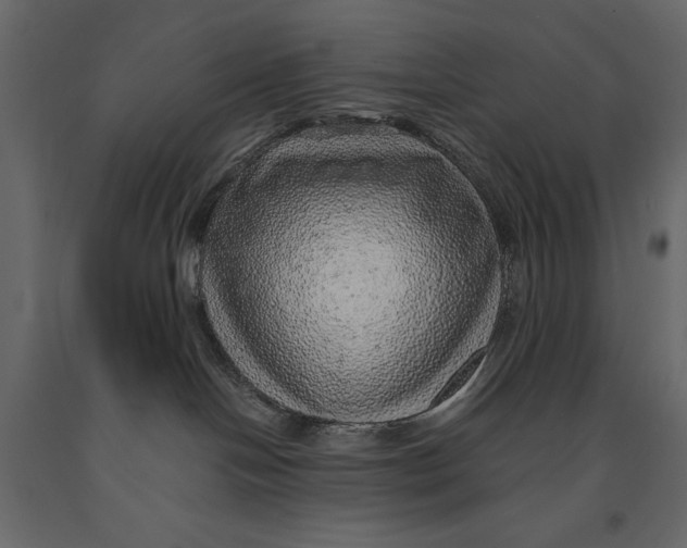 X0000090900094200708270953