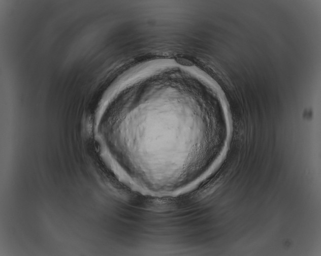 X0000090900095200708270953