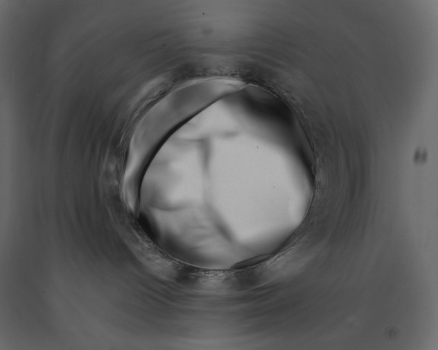 X0000090900096200708270953