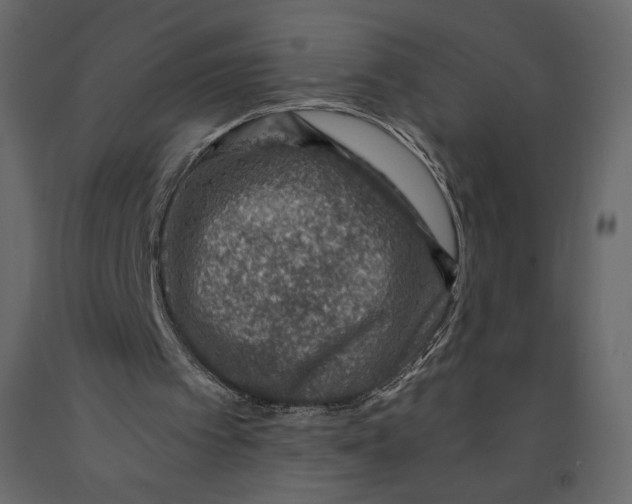 X0000090900097200708270952