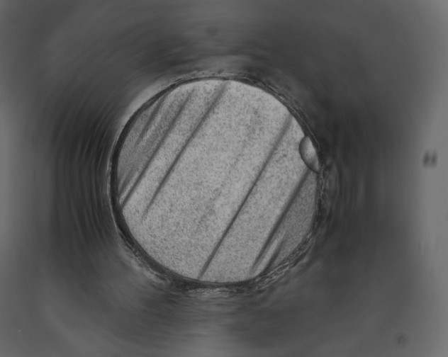 X0000090900100200708270952