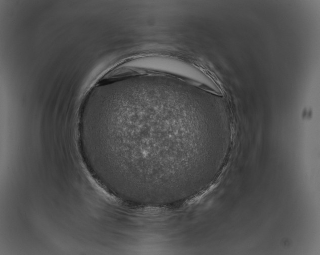 X0000090900101200708270952