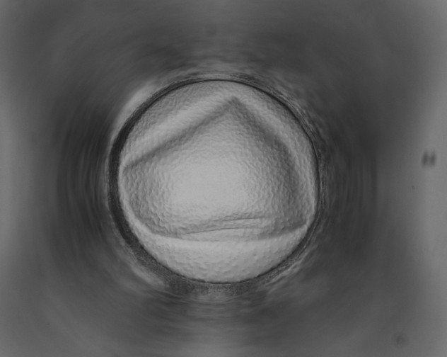 X0000090900102200708270952