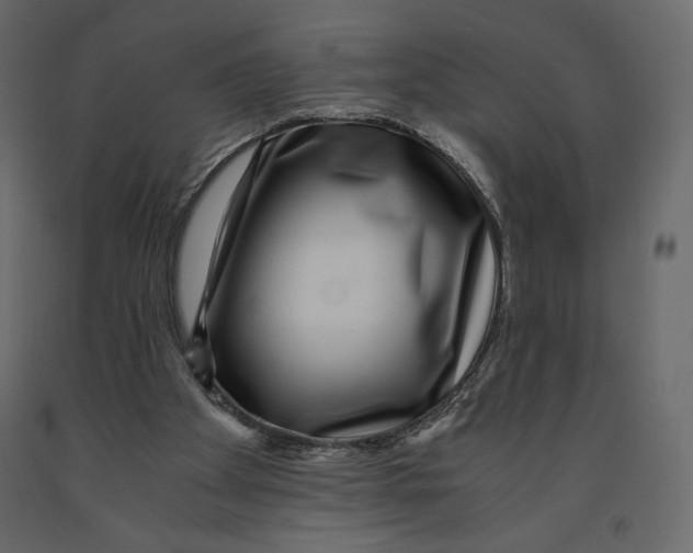 X0000090900105200708270952