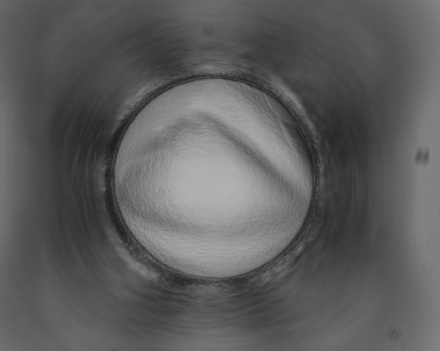 X0000090900106200708270952