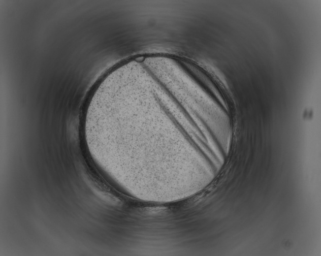 X0000090900108200708270952