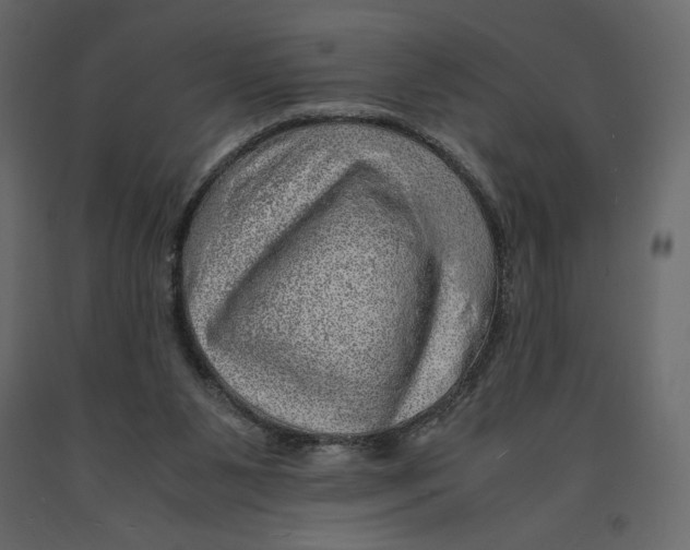 X0000090900111200708270952