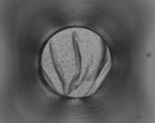 X0000090900112200708270952