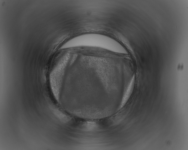 X0000090900114200708270952