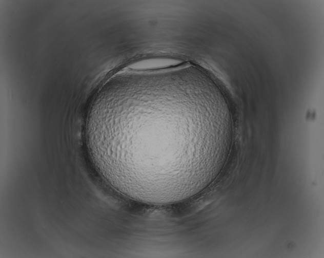 X0000090900115200708270952