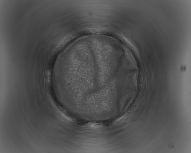X0000090900117200708270952