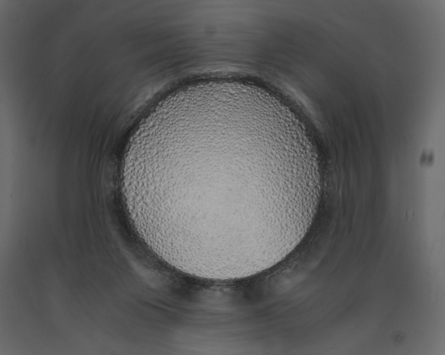 X0000090900119200708270952
