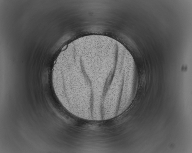 X0000090900120200708270952