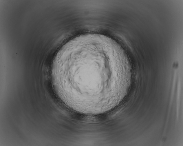 X0000090900123200708270952