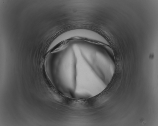 X0000090900125200708270952
