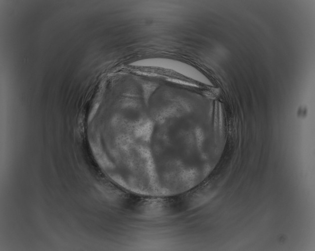 X0000090900127200708270952