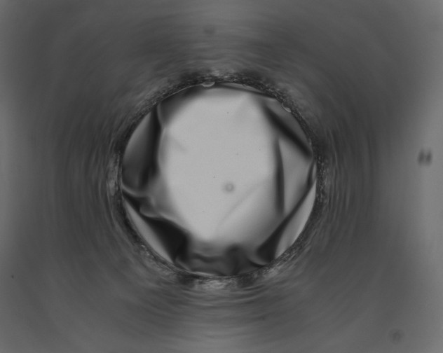 X0000090900129200708270952