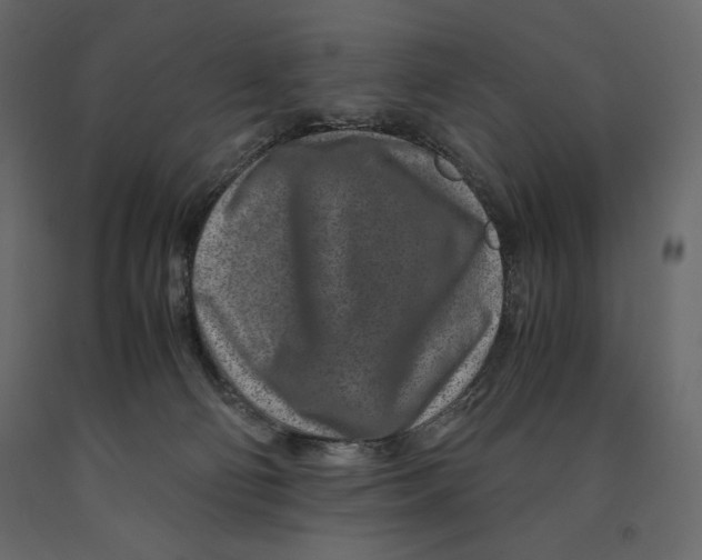 X0000090900130200708270952