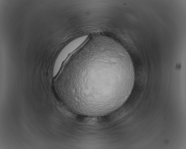 X0000090900131200708270952