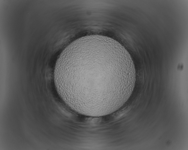 X0000090900135200708270952