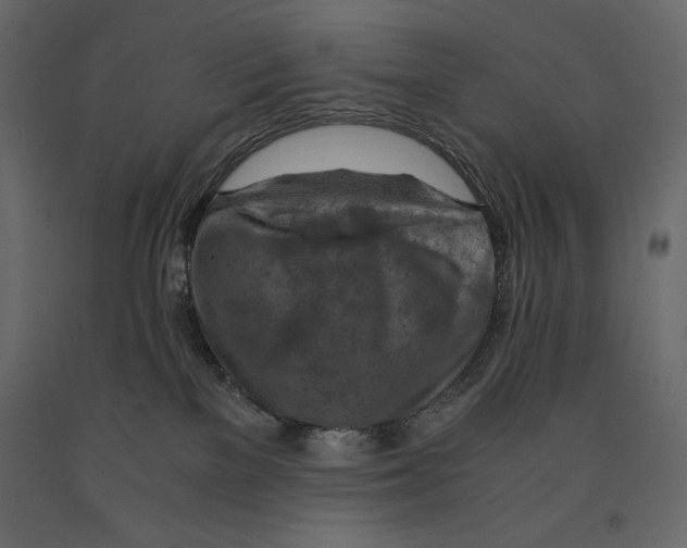X0000090900137200708270952