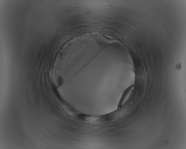 X0000090900139200708270952