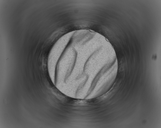 X0000090900140200708270952