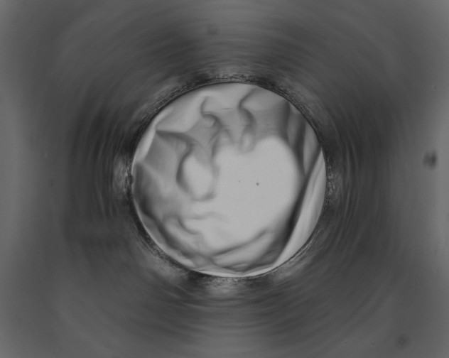 X0000090900142200708270952