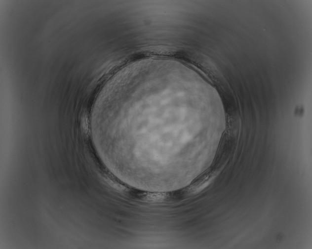 X0000090900143200708270952