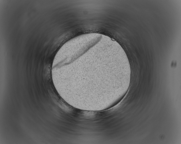X0000090900144200708270952