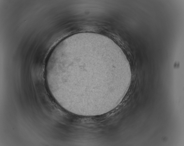 X0000090900146200708270951
